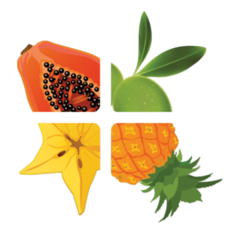 Das Logo der Rohvolution Messe zeigt vier tropische Früchte: Papaya, Limette, Sternfrucht und Ananas. Die Rohvolution ist eine führende Messe für Vitalkost und nachhaltige Ernährung.