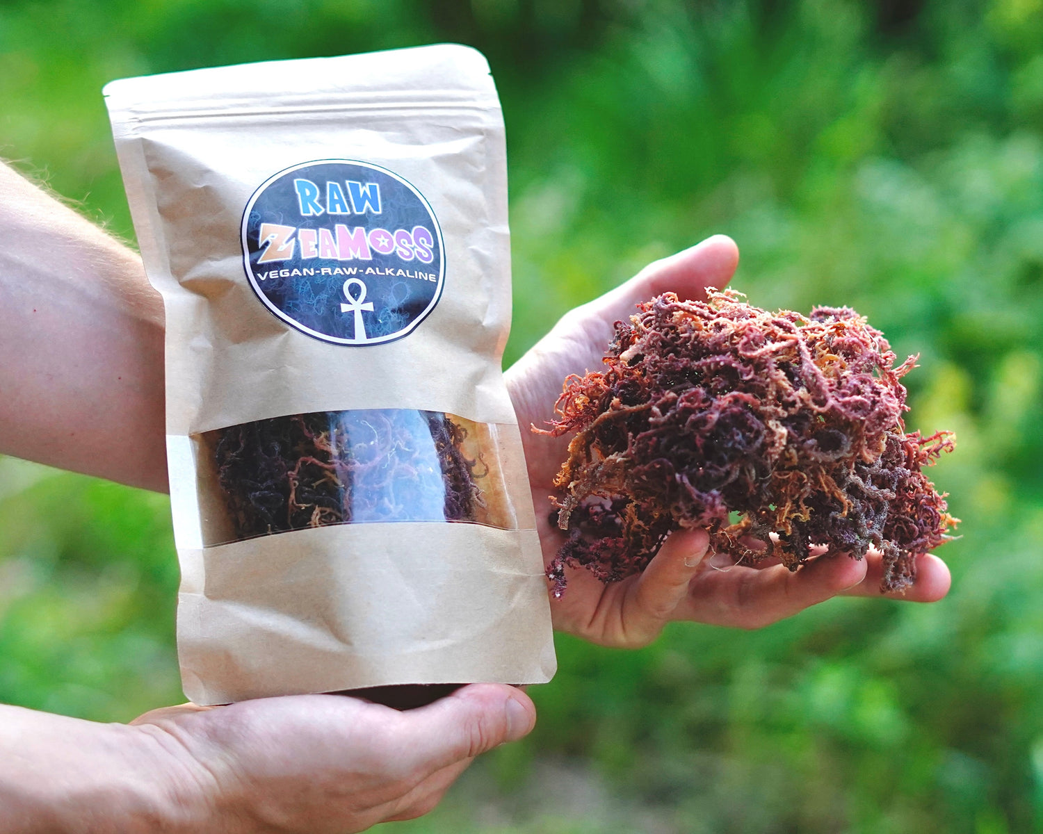Sea Moss als Rohware und Produkt ZeaMoss Raw 50 g