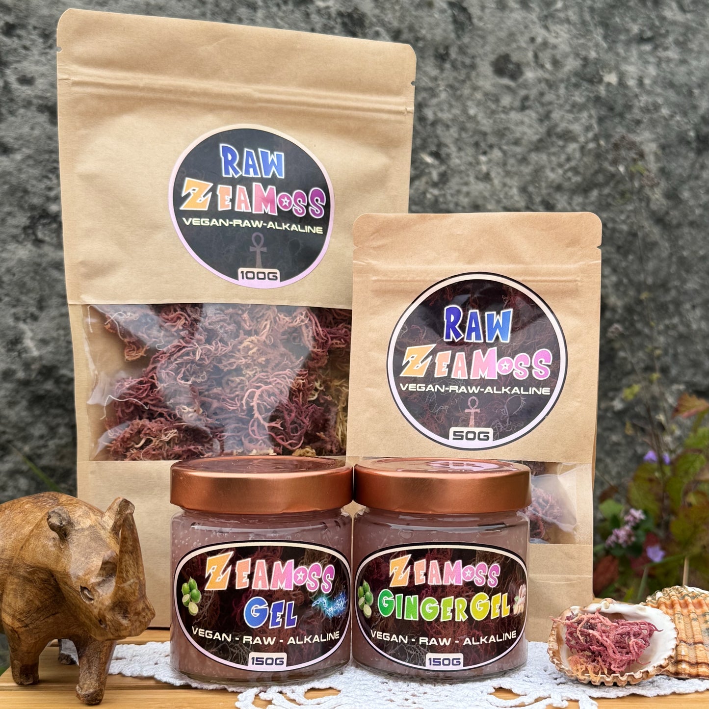 ZeaMoss-Produkte: Sea Moss Gel, Ingwer Gel und Sea Moss Rohware in 50 g und 100 g Verpackungen. Aufnahme draußen vor einer Steinwand mit grünem Pflanzenhintergrund, einem Holznashorn und einer Muschel mit Sea Moss