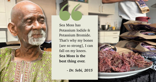 Dr. Sebi mit einem Zitat über die Vorteile von Sea Moss. Im Hintergrund sind ein Teller mit rohem Sea Moss und ZeaMoss Verpackungen in einer Küche zu sehen.