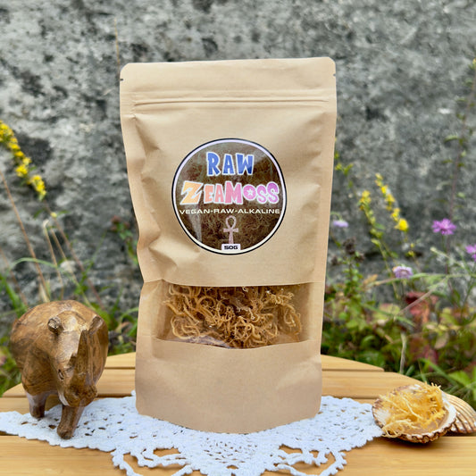 Wildcrafted East African Sea Moss Gold (Euchema Denticulatum), 50g Packung von ZeaMoss, präsentiert draußen vor einer Naturkulisse mit Holznashorn und Muschel mit Rohalge