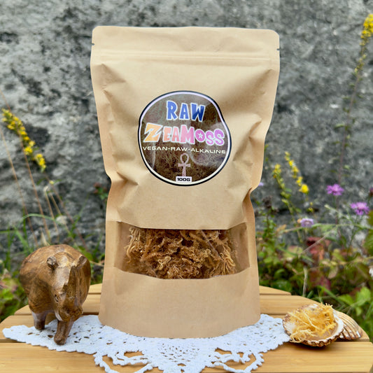 ZeaMoss Raw 100g Gold Packung aus Wildcrafted African Sea Moss (Euchema Denticulatum), präsentiert vor einer Steinwand in natürlicher Umgebung. Links ein Holznashorn, rechts eine Muschel mit Sea Moss Rohware.