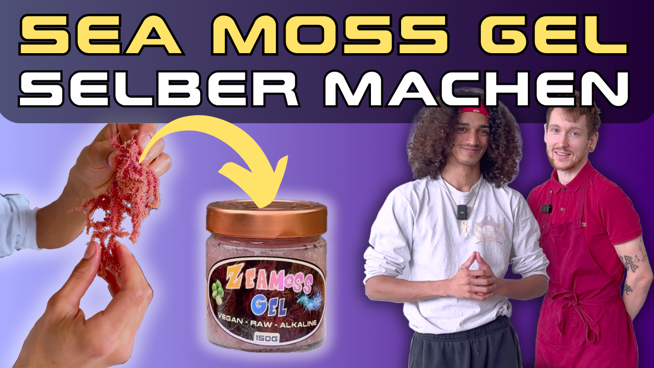 Video laden: Videoanleitung zur Herstellung von Sea Moss Gel. Schritt für Schritt erklärt von ZeaMoss mit Tipps zur Reinigung, Einweichzeit und Mixen für beste Gelqualität.