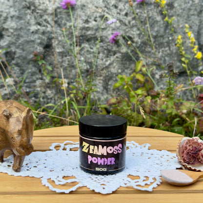 ZeaMoss Powder 50g Wildcrafted Rainbow Sea Moss (Euchema Denticulatum) aus East Africa, Tansania, präsentiert draußen vor einer Naturkulisse mit Blumen, Dekoration mit Holznashorn, Muschel mit Rohalge und Holzlöffel mit Pulver