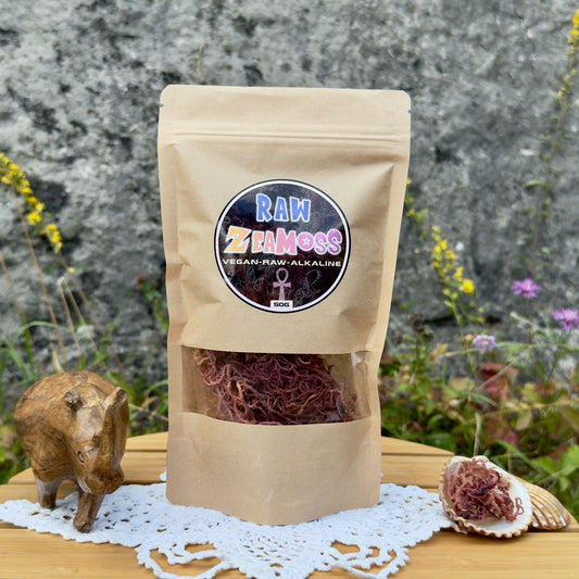 Rainbow Wildcrafted African Sea Moss (Euchema Denticulatum), 50g Packung von ZeaMoss, präsentiert draußen vor einer Naturkulisse mit Holznashorn und Muschel mit Rohalge