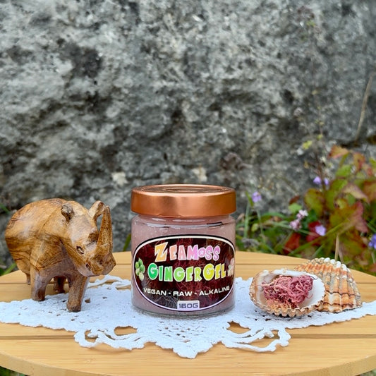 ZeaMoss Ginger Gel 160g - Vegan, Raw, Alkaline. Wildcrafted East African Sea Moss Gel, präsentiert draußen vor einer Steinwand mit grünen Pflanzen, einem Holznashorn und einer Muschel mit Sea Moss Rohware.