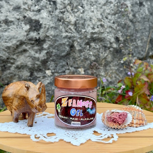 Sea Moss Gel 160g - traditionell hergestellt, Vegan, Raw, Alkaline. Rainbow Sea Moss Gel, präsentiert draußen vor einer Steinwand mit grünen Pflanzen, einem Holznashorn und einer Muschel mit Sea Moss Rohware.