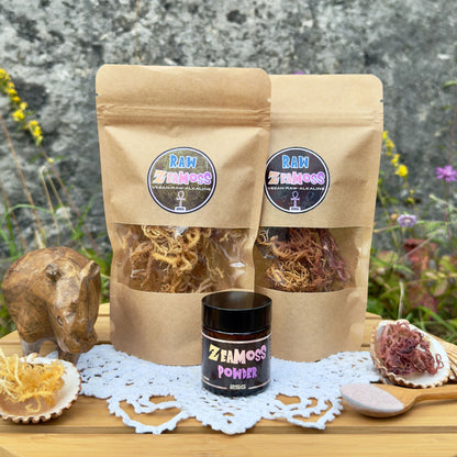 Sea Moss Starter Pack mit 25g Rainbow, 25g Gold Sea Moss und 25g Full Spectrum Pulver vor Naturkulisse