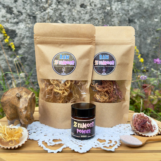 Sea Moss Starter Pack mit 25g Rainbow, 25g Gold Sea Moss und 25g Full Spectrum Pulver vor Naturkulisse